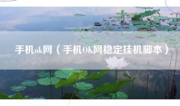 手机ok网（手机OK网稳定挂机脚本）