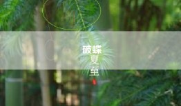 破蝶