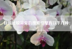 目前比较常见的搜索引擎有以下几种：