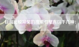 目前比较常见的搜索引擎有以下几种：