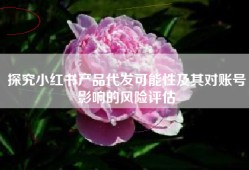 探究小红书产品代发可能性及其对账号影响的风险评估