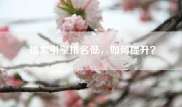 搜索引擎排名低，如何提升？