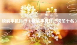续航手机排行（续航手机排行榜前十名）