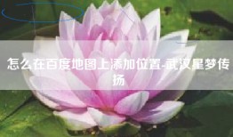 怎么在百度地图上添加位置-武汉星梦传扬