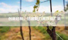 创新启航，搭建助力高效推广新