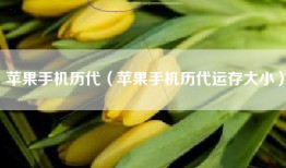 苹果手机历代（苹果手机历代运存大小）