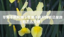 苹果手机开网（苹果手机开网页总是跳转怎么处理）