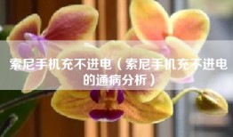 索尼手机充不进电（索尼手机充不进电的通病分析）