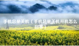 手机总是关机（手机总是关机开机怎么回事）