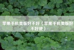 苹果手机美版好不好（苹果手机美版好不好使）