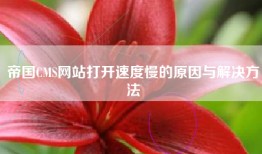 帝国CMS网站打开速度慢的原因与解决方法