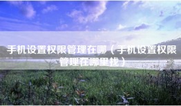 手机设置权限管理在哪（手机设置权限管理在哪里找）