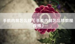 手机内屏怎么修（手机内屏怎么修教程视频）