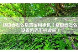 路由器怎么设置密码手机（路由器怎么设置密码手机设置）