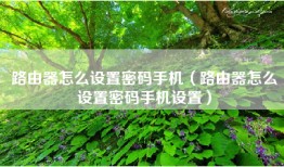 路由器怎么设置密码手机（路由器怎么设置密码手机设置）