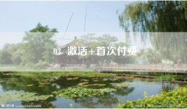 03  激活+首次付费