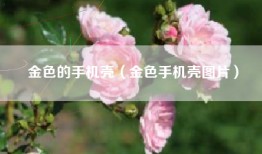 金色的手机壳（金色手机壳图片）