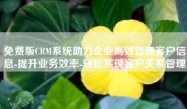 免费版CRM系统助力企业高效管理客户信息-提升业务效率-轻松实现客户关系管理