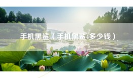 手机黑鲨（手机黑鲨4多少钱）