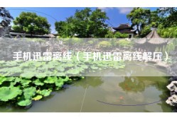 手机迅雷离线（手机迅雷离线解压）