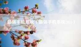 最强手机系统（最强手机系统2015）