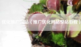 优化推广网站（推广优化网站整站教程）