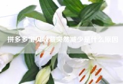 拼多多宝贝收藏突然减少是什么原因
