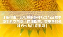 详细指南：交电费的多种方式与注意事项手机交电费「详细指南：交电费的多种方式与注意事项」