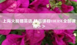 上海火箭猫英语-精品课程COURSE全部课程＞＞
