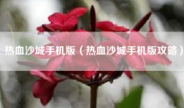 热血沙城手机版（热血沙城手机版攻略）