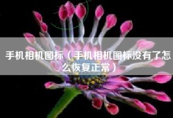 手机相机图标（手机相机图标没有了怎么恢复正常）
