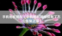 手机相机图标（手机相机图标没有了怎么恢复正常）