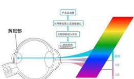 手机中的“护眼模式”真的能有效保护眼睛吗？手机护眼模式有用吗「手机中的“护眼模式”真的能有效保护眼睛吗？」