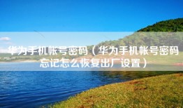 华为手机帐号密码（华为手机帐号密码忘记怎么恢复出厂设置）
