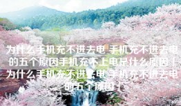 为什么手机充不进去电 手机充不进去电的五个原因手机充不上电是什么原因「为什么手机充不进去电 手机充不进去电的五个原因」