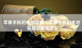 苹果手机的电池容量（苹果手机的电池容量在哪里看）