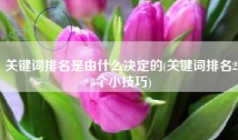 关键词排名是由什么决定的(关键词排名28个小技巧)