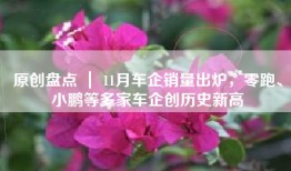 原创盘点 ｜ 11月车企销量出炉，零跑、小鹏等多家车企创历史新高
