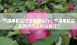 苹果手机忘记密码怎么办（苹果手机忘记密码怎么办法解开）