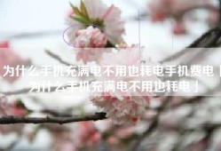 为什么手机充满电不用也耗电手机费电「为什么手机充满电不用也耗电」