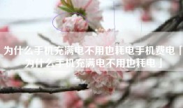 为什么手机充满电不用也耗电手机费电「为什么手机充满电不用也耗电」