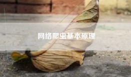 网络爬虫基本原理