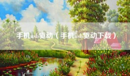 手机usb驱动（手机usb驱动下载）