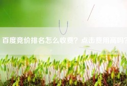 百度竞价排名怎么收费？点击费用高吗？