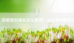 百度竞价排名怎么收费？点击费用高吗？