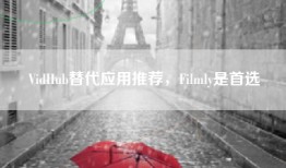 VidHub替代应用推荐，Filmly是首选