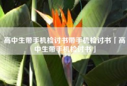 高中生带手机检讨书带手机检讨书「高中生带手机检讨书」