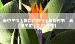 高中生带手机检讨书带手机检讨书「高中生带手机检讨书」