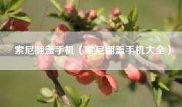 索尼翻盖手机（索尼翻盖手机大全）