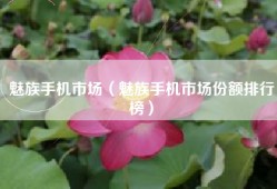 魅族手机市场（魅族手机市场份额排行榜）